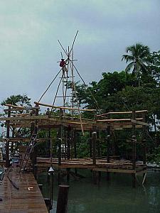 Building a new Palapa roof.jpg