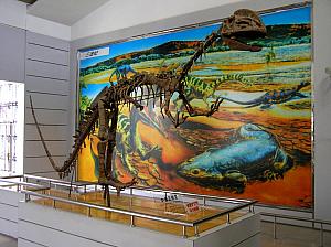 E) dinosaur bones recovered near Kunming - same as those found in Arizona.JPG