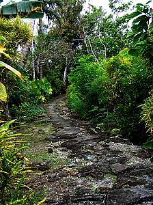Kaday stone path.jpg