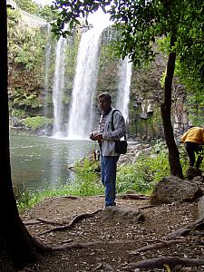 Whangarei Falls4.jpg