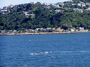020D Peter Jackson's house from the ferry.jpg