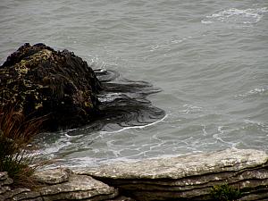 C) Punakaiki - Kelp holding fast to the boulders.jpg