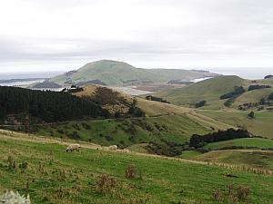 A) Seen from Otago Peninsula to the Pacific.jpg