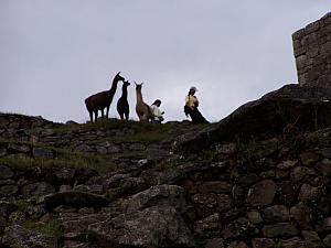 Machu Picchu 06.JPG