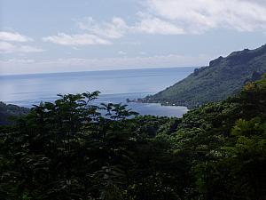 Cook's Bay from the summit.jpg