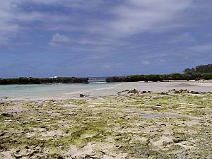 Vanuatu, Efate 005.jpg