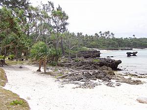 Vanuatu, Efate 006.jpg