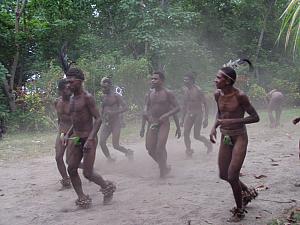 Malekula Island, Vanuatu 011.jpg