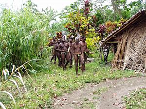 Malekula Island, Vanuatu 017.jpg