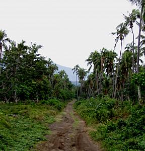 Trip to Lanakel - Rough Road.jpg