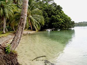 The Solomon Islands 010.jpg